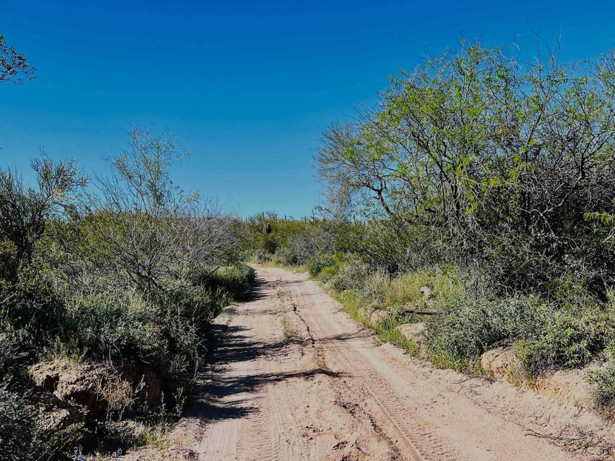 Better Way Out O'Haco photo 4