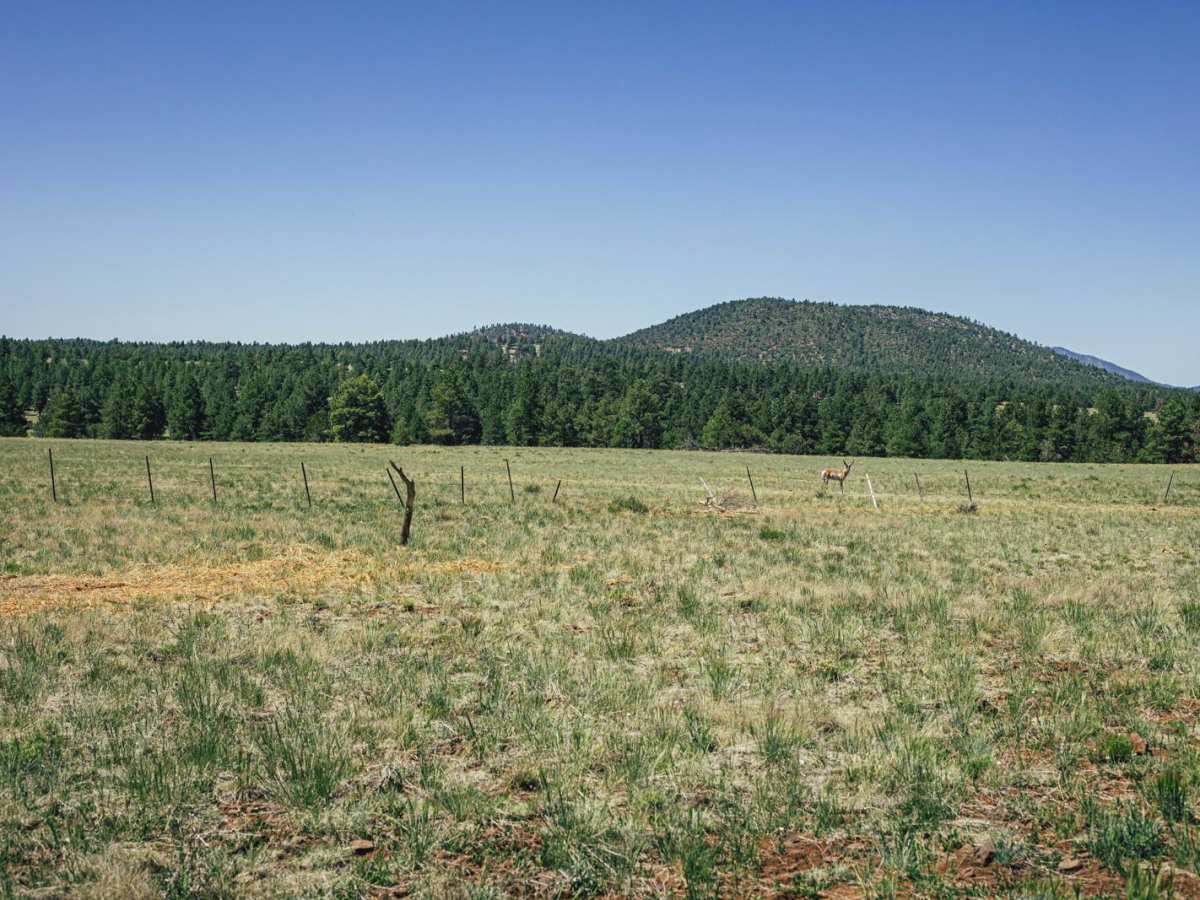 Hunters Meadow photo 3