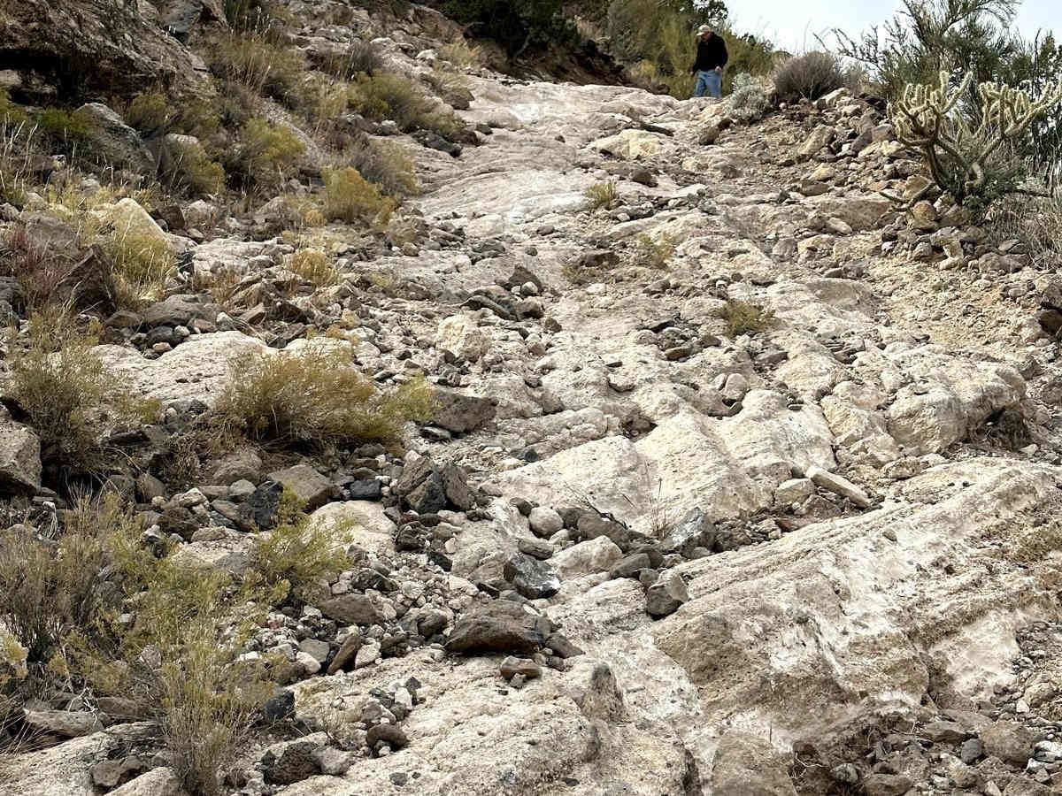 Powerline Loop Trail photo 2