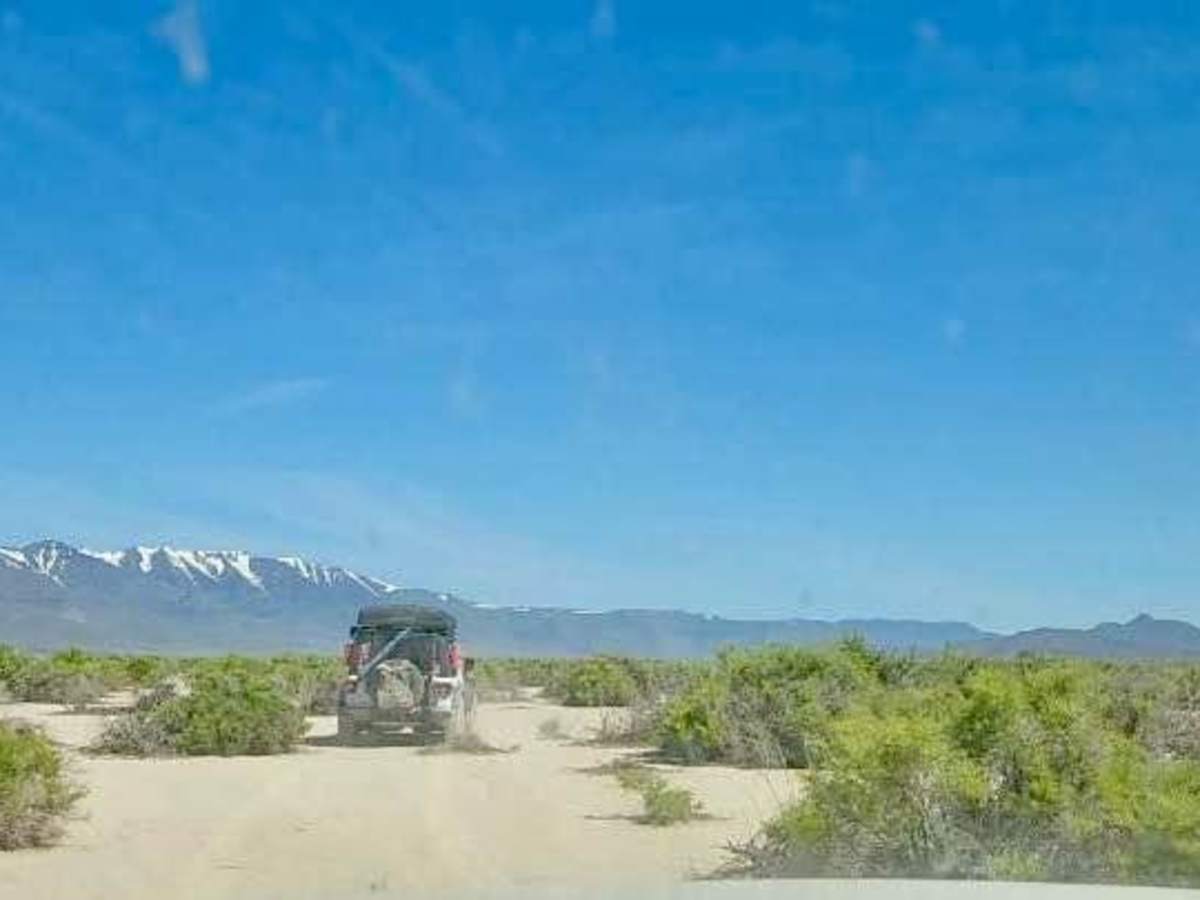 Annie's Desert Romp photo 4