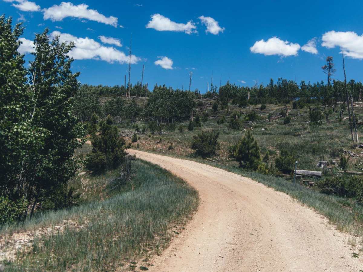Half Mile Access Road photo 6