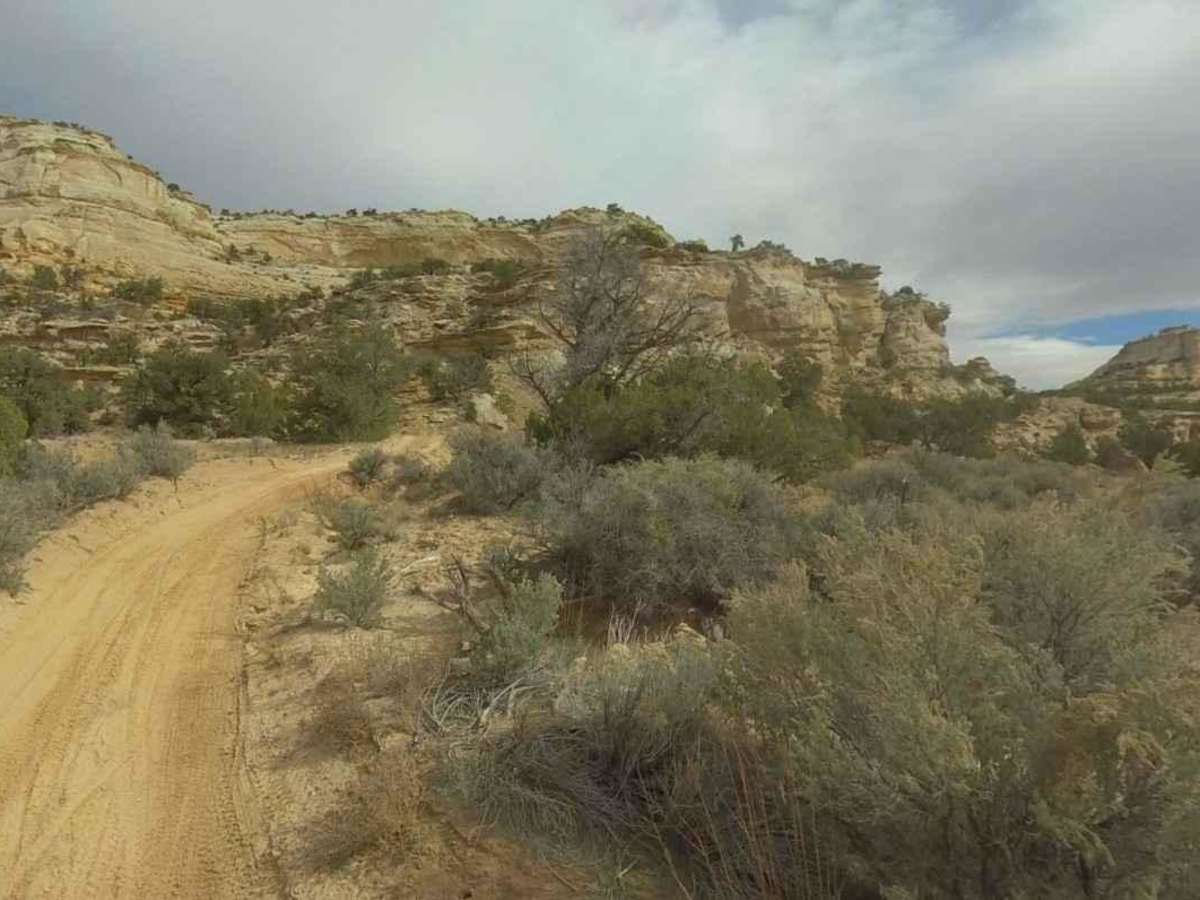 BLM639 photo 4