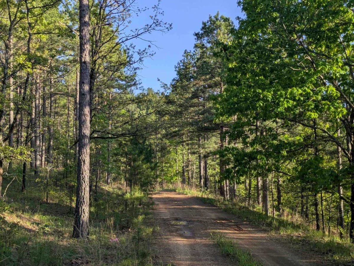 Unity Road photo 4