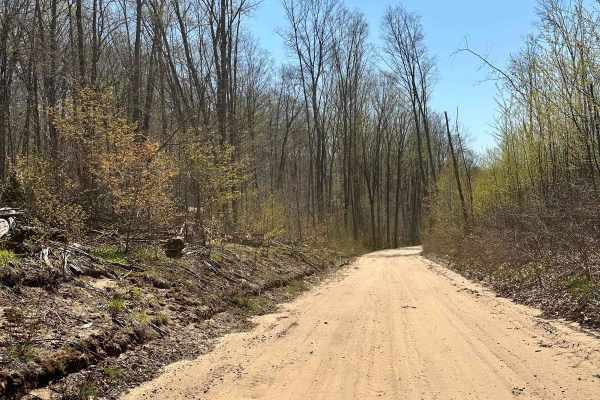Cadillac Area ORV/OHV Scenic Ride - Part 15