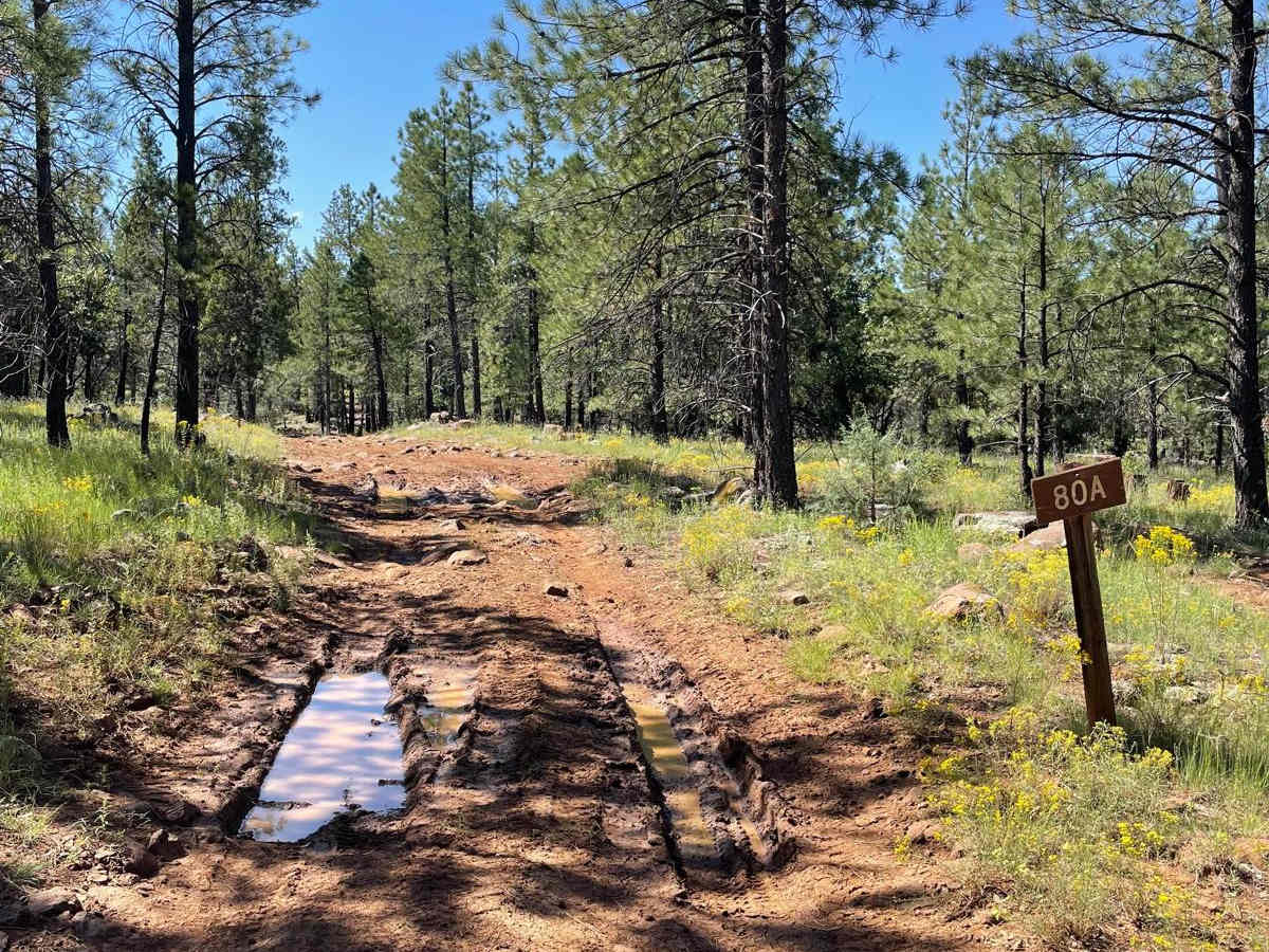 Cub Tank Trail photo 3