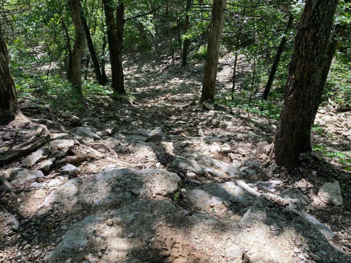 Sprattsville Trail photo 3