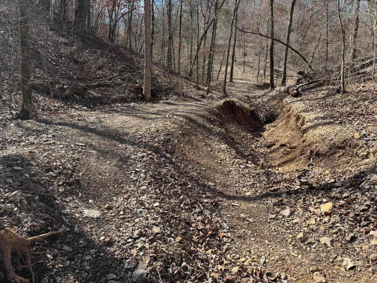 Morgans Creek 377 photo 6