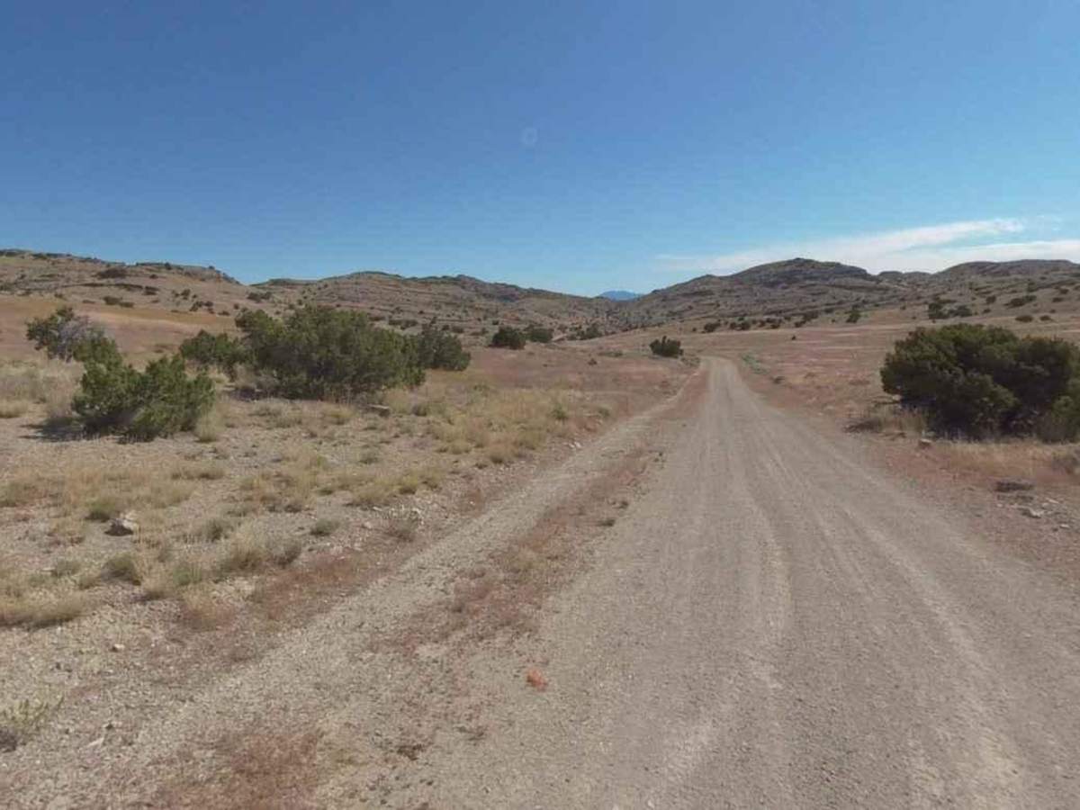 Conger Mountain OHV Route 3 photo 2