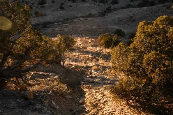 Overlook Trail Part 2