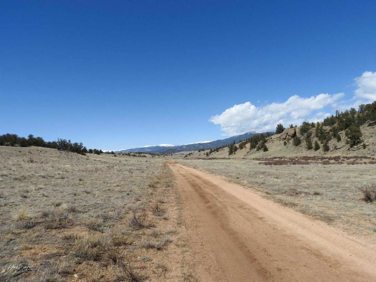 Paige Road photo 2