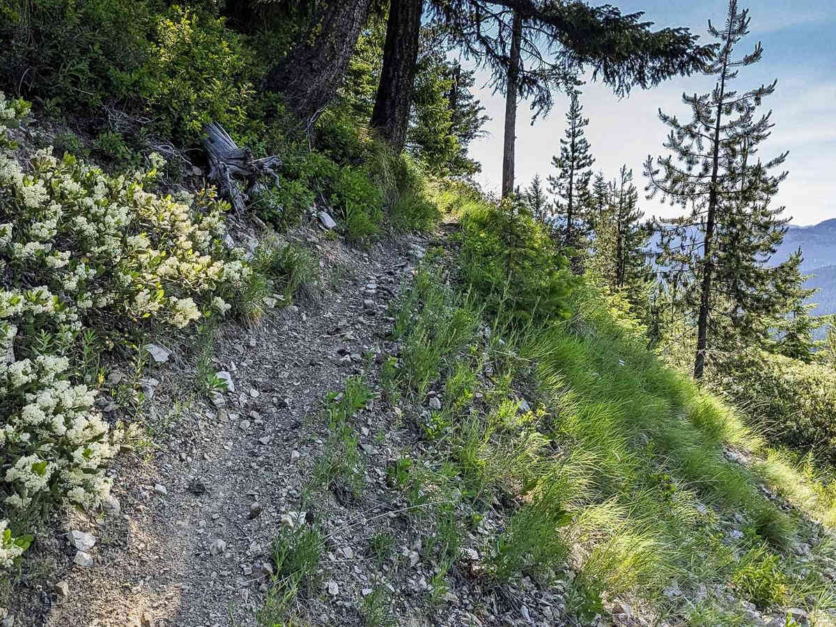 Lee Ridge Trail 295 photo 5