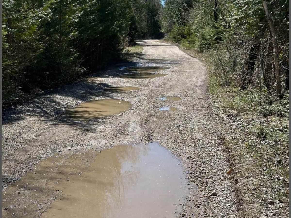 Turtle Ridge photo 3