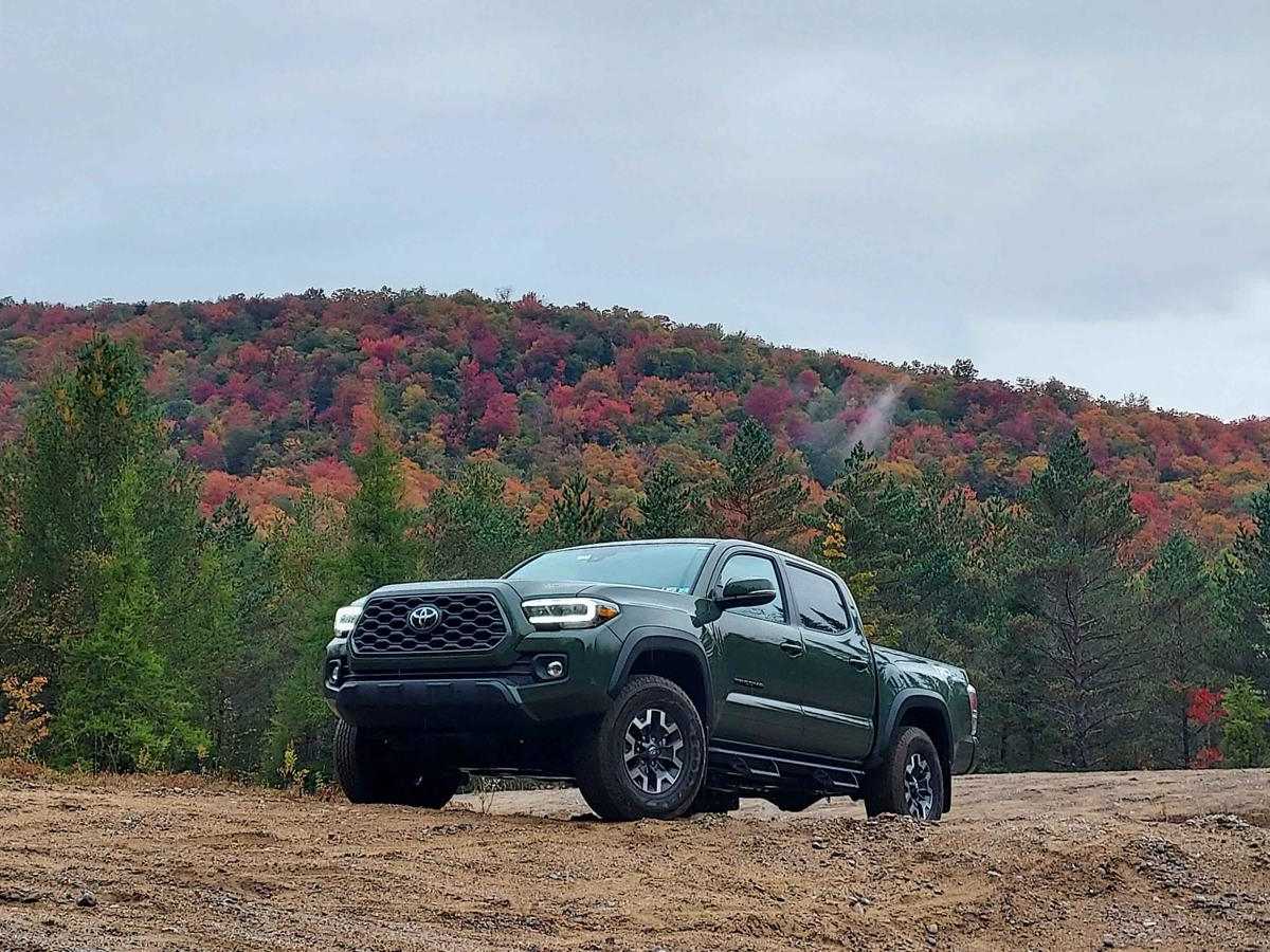 Bear Pond Trail photo 5