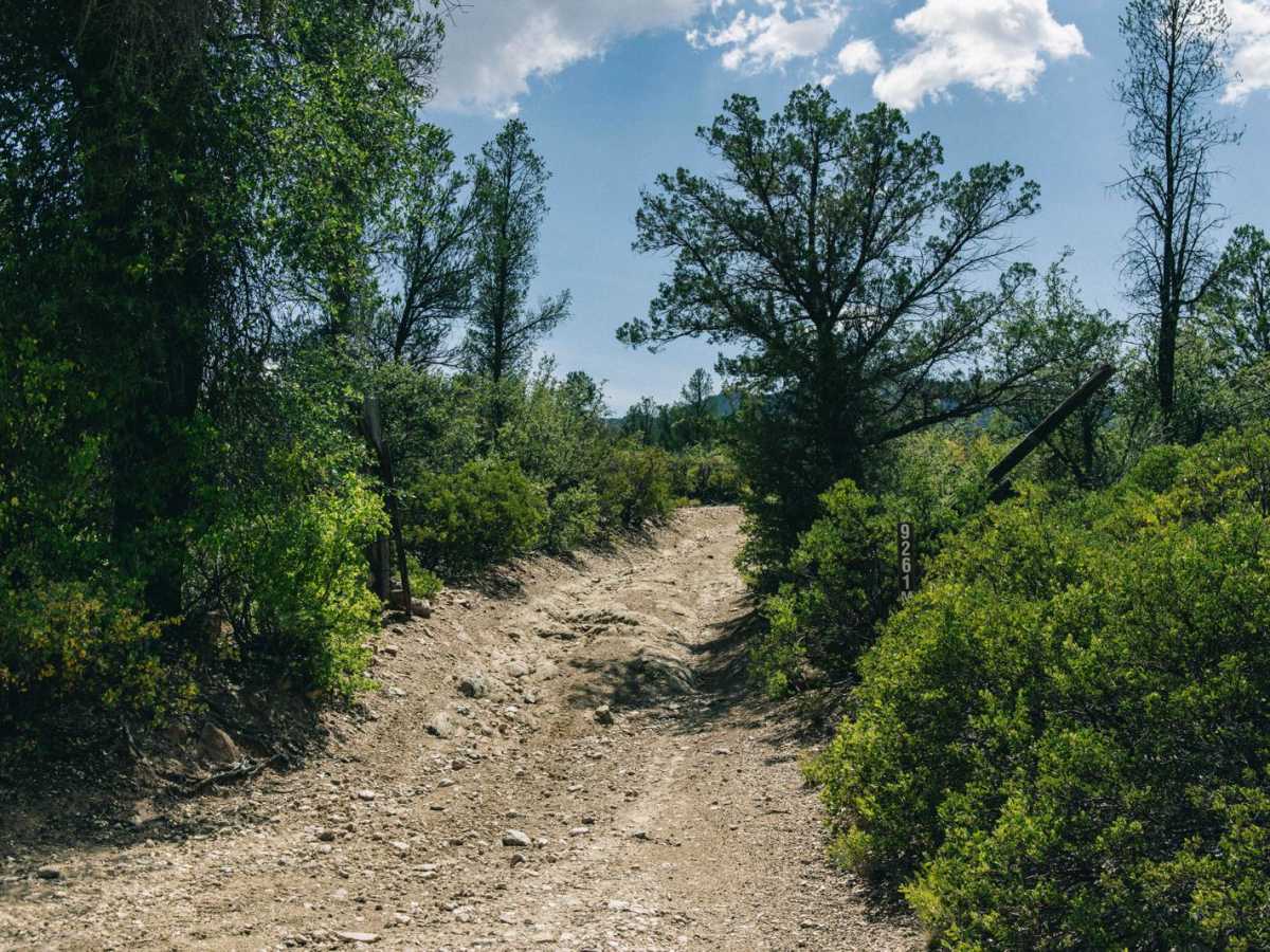 9261M trail photo