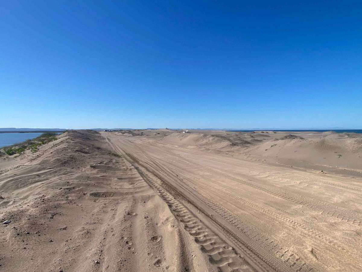 Dunas Del Mogote photo 4