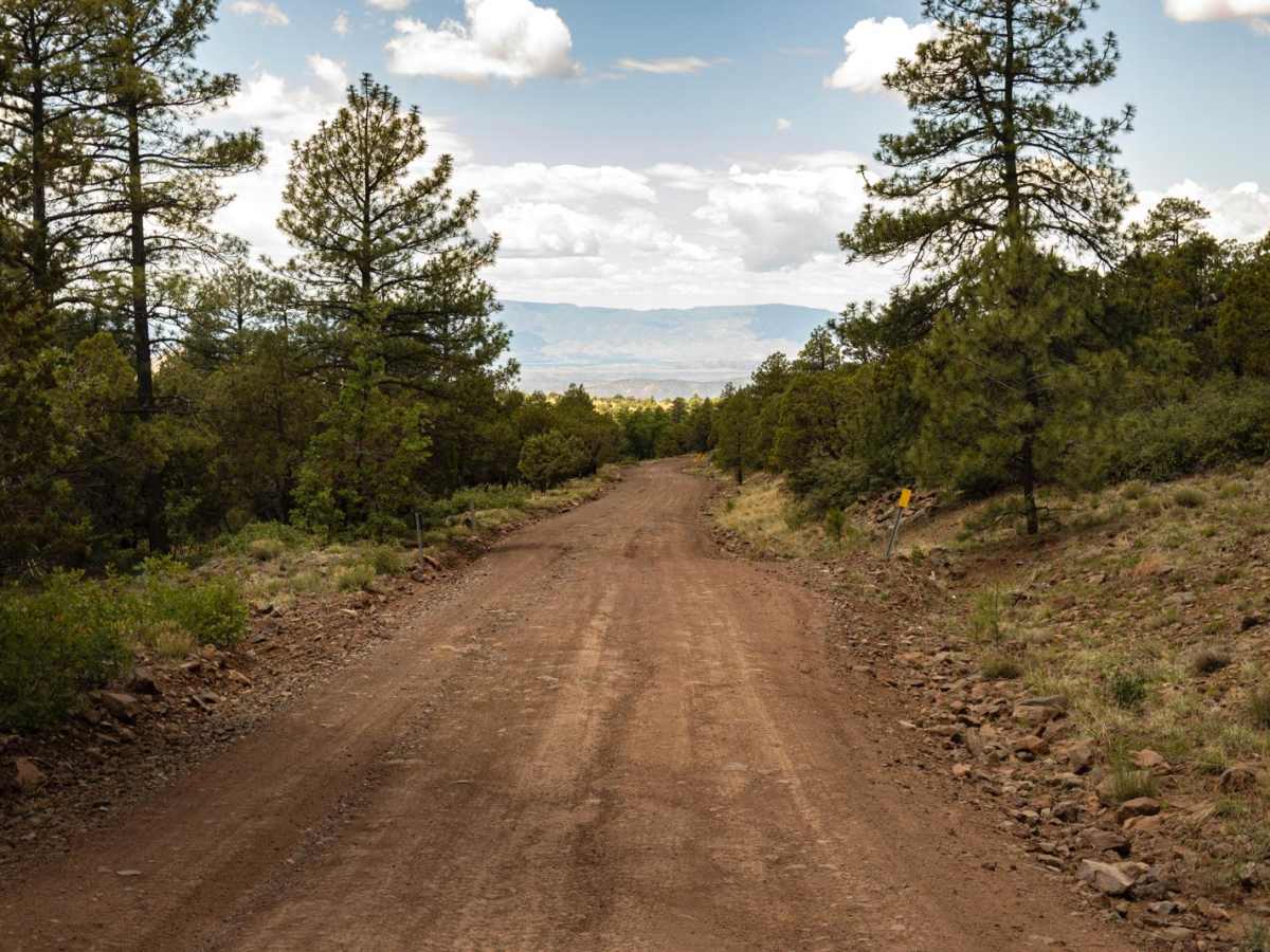 Schnebly Hill Road photo 4