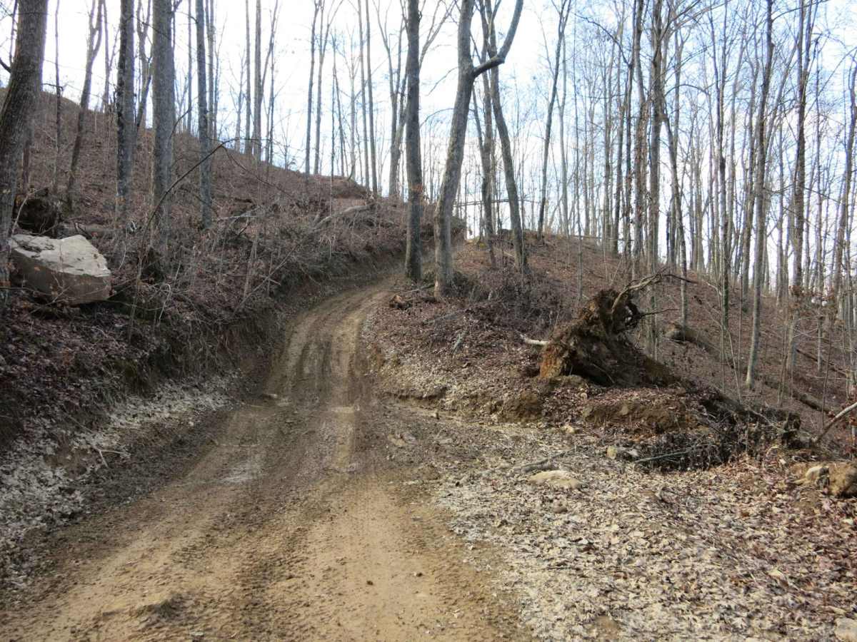 Trail 19 - Walnut Mountain Trail photo 5