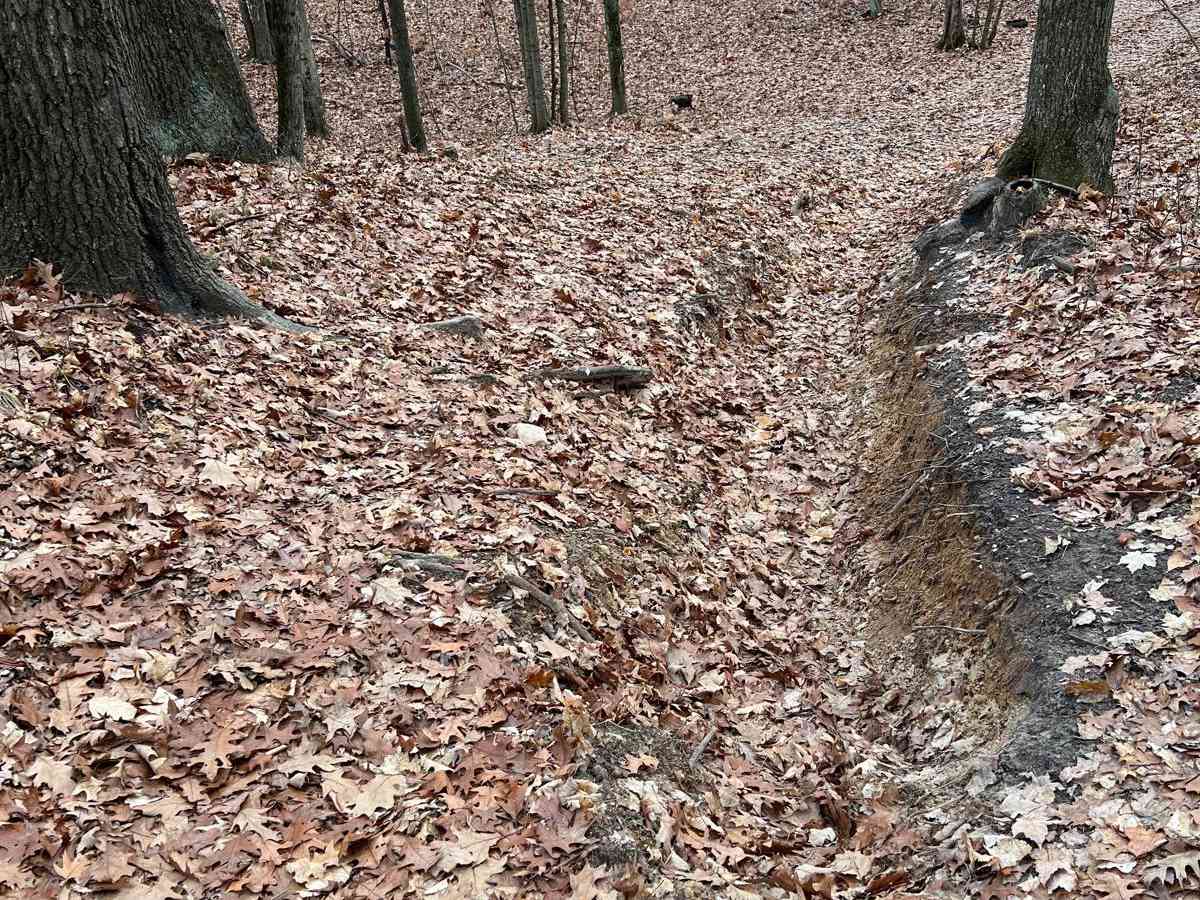 Flexy Ditch (NFS 5187) photo 6