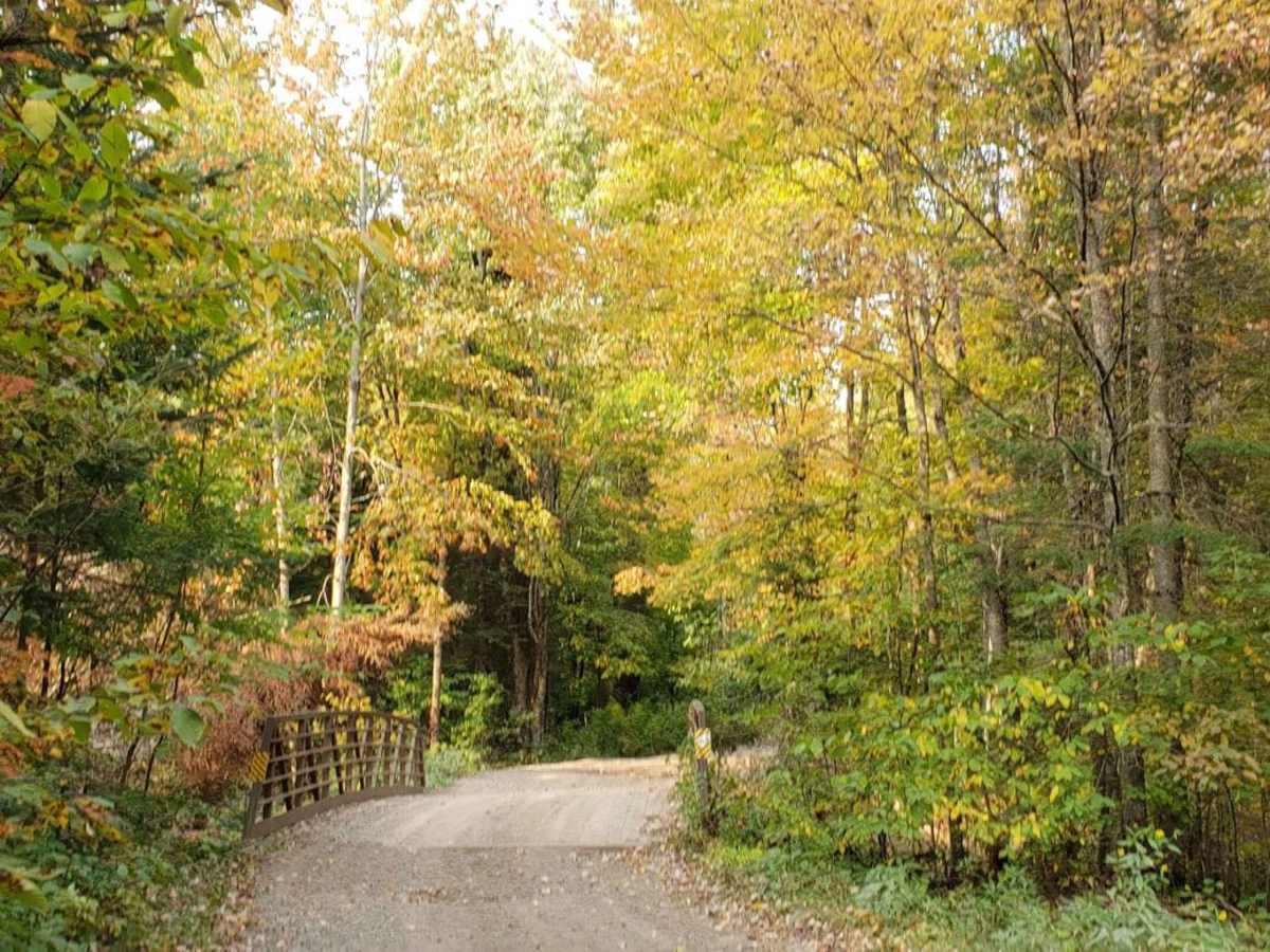 Trail 31 - Part 1 photo 5