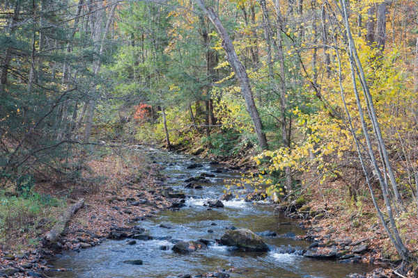 Six Mile Run Road