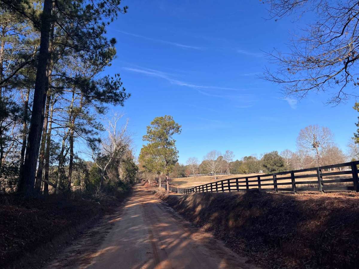 Fox Pond Road photo 5