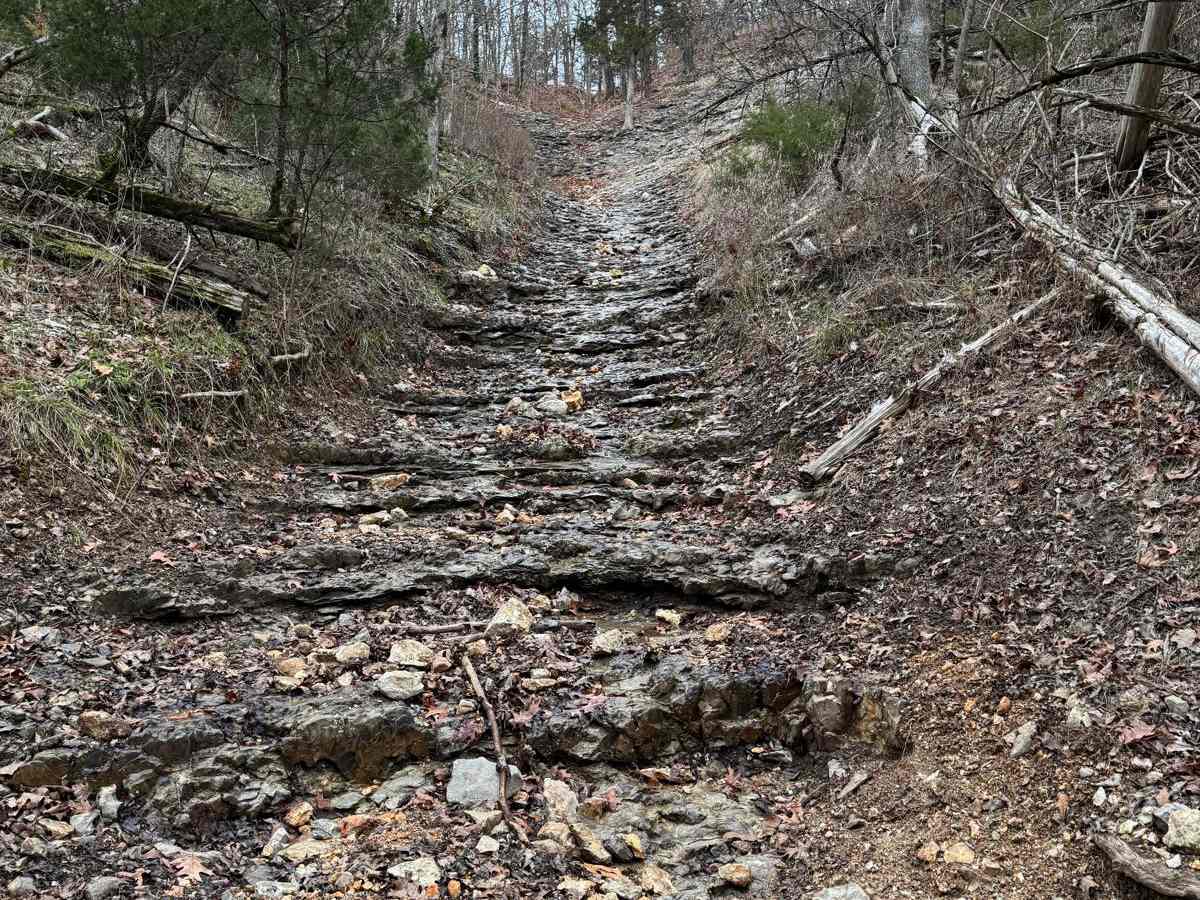 Austin's Corner 353 trail photo