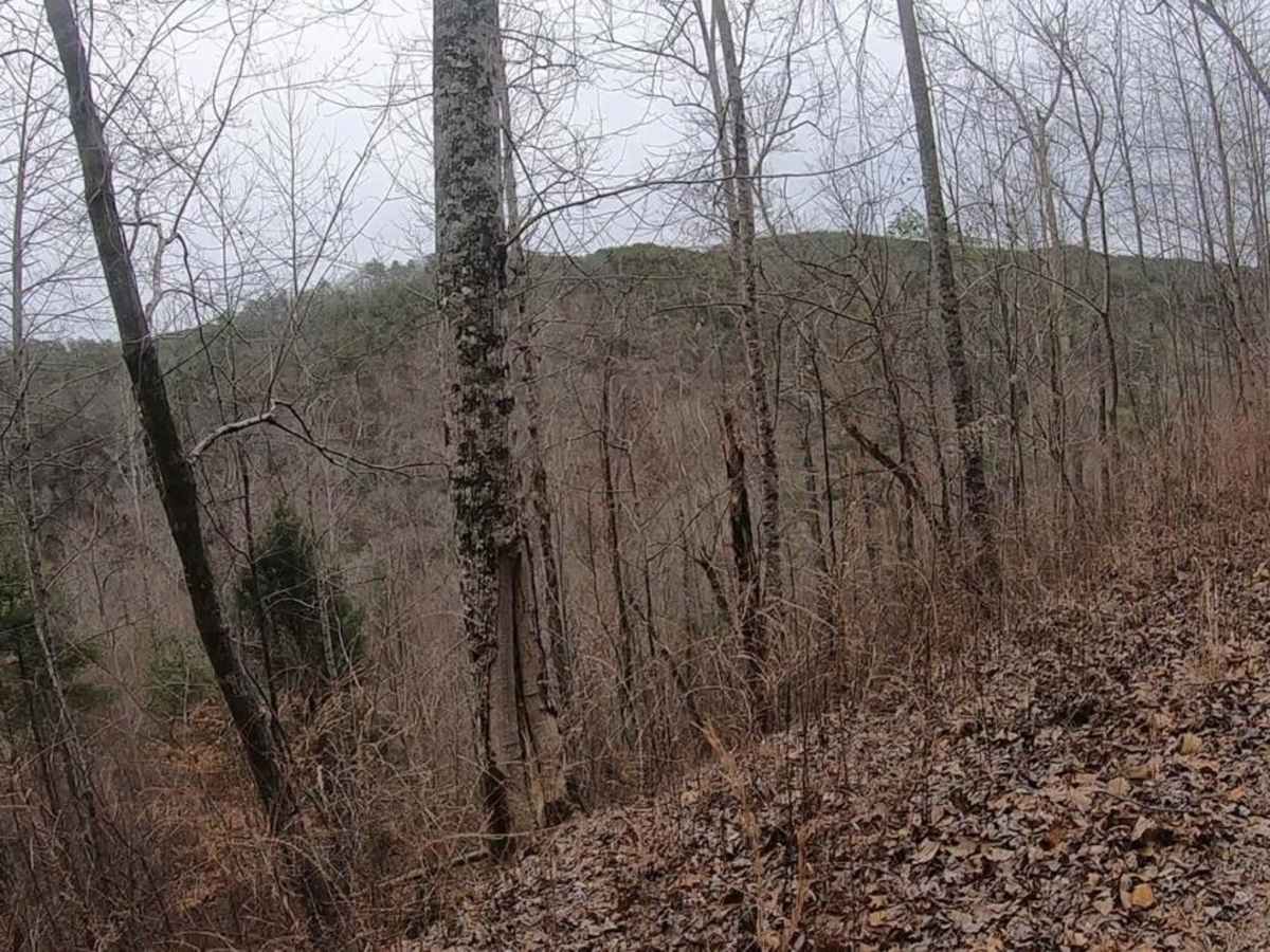 East Sylco Ridge photo 5