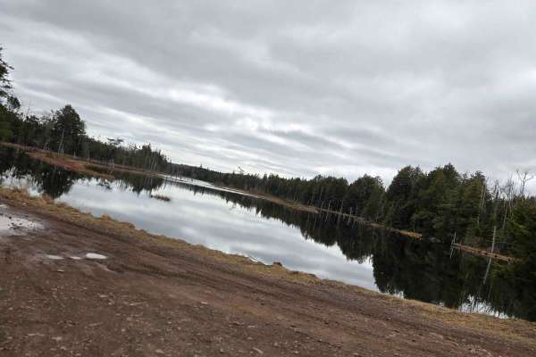 Buzz Lake