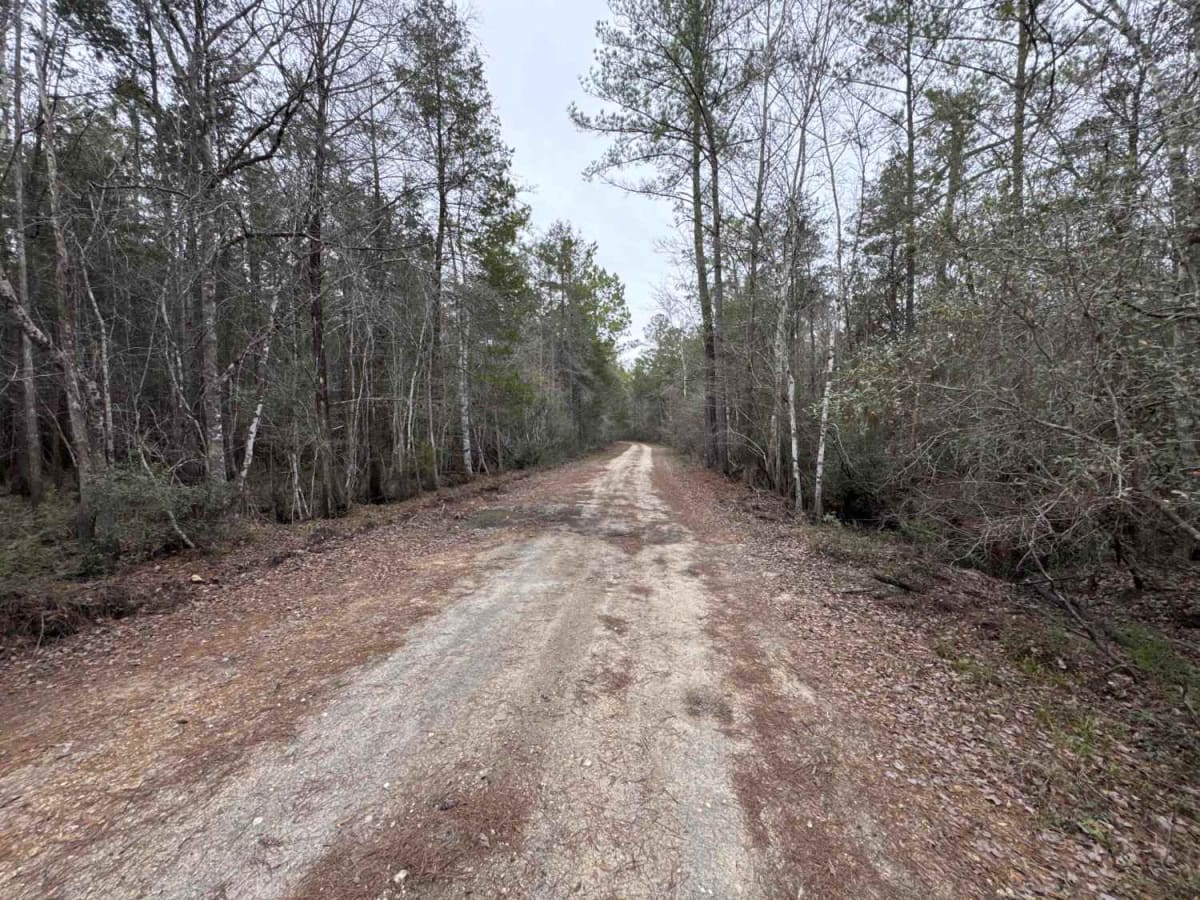 County Line Loop photo 2