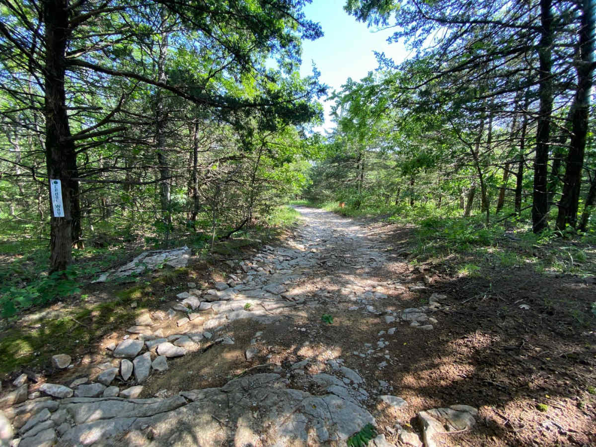 Cedar Way photo 4