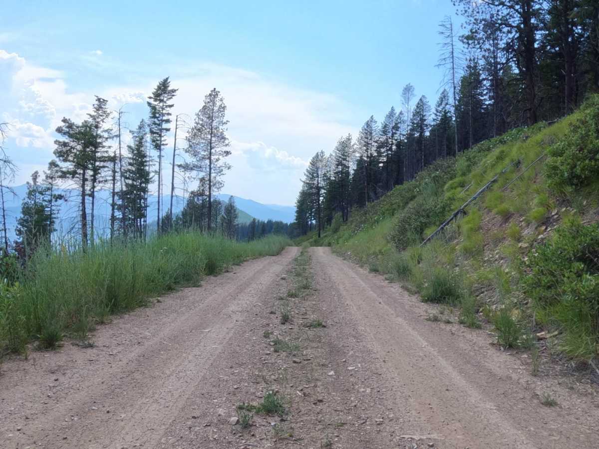 West Side Pardee Creek Road - Old Hwy 10 photo 2