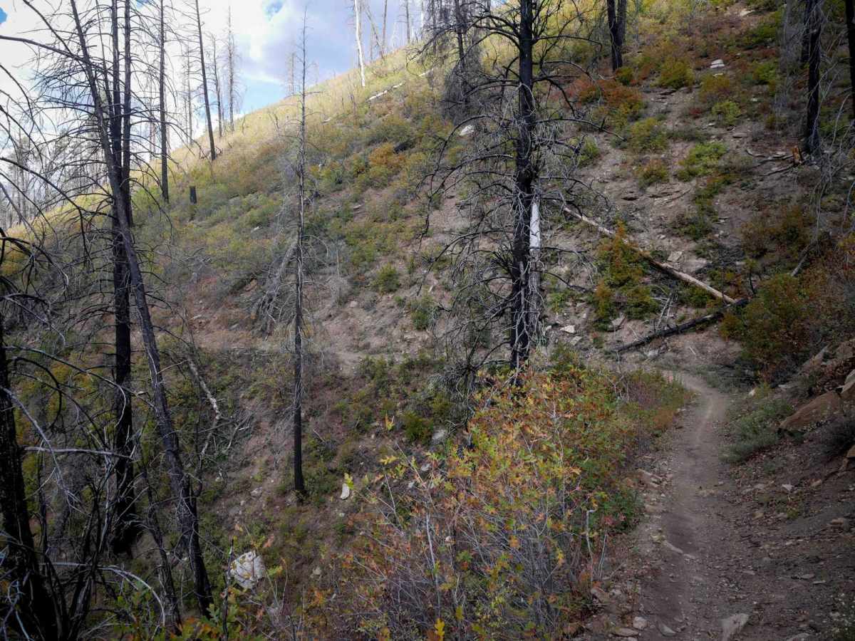 Hermosa Creek photo 5