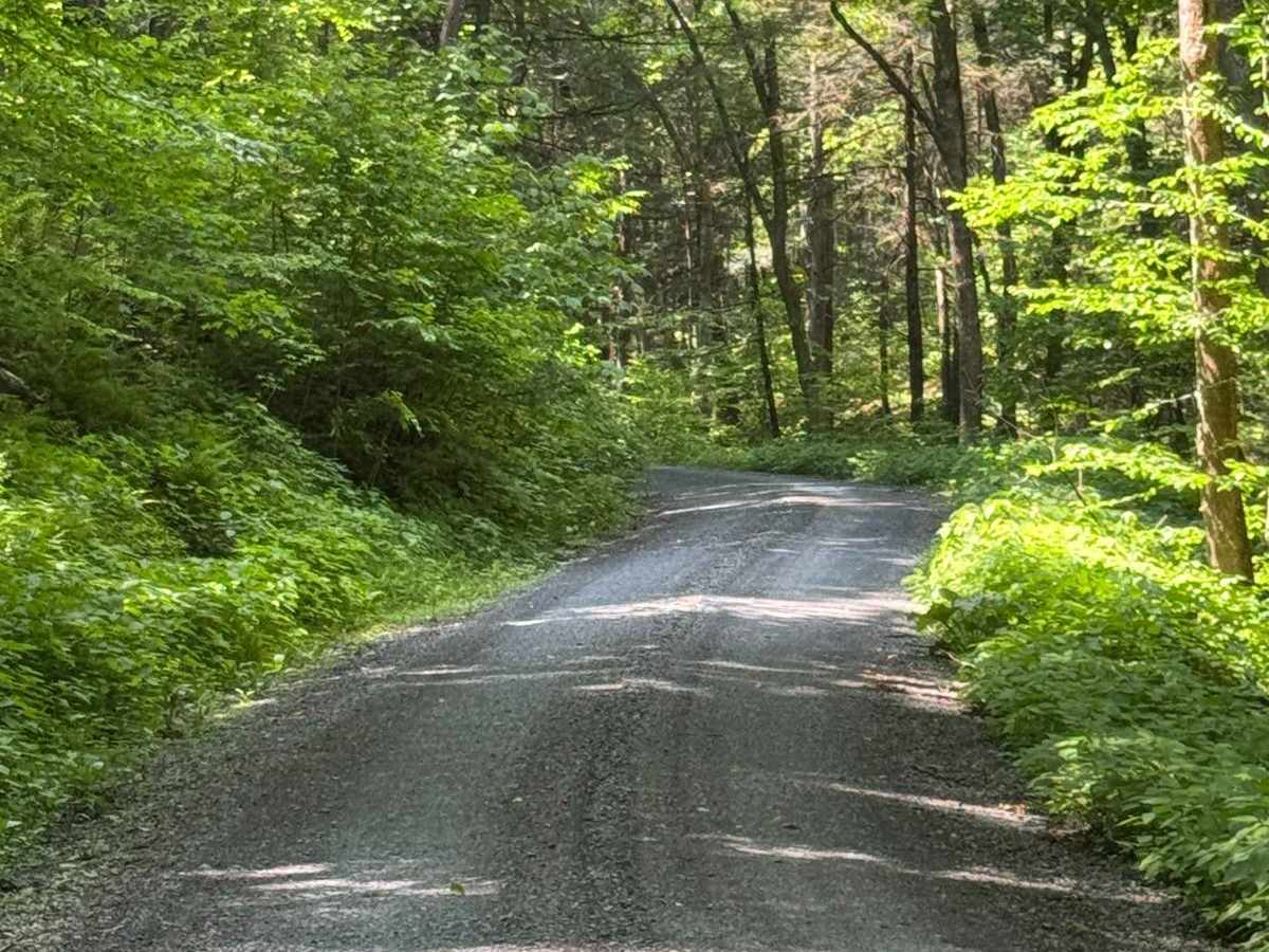 Abes Fork Road photo 5