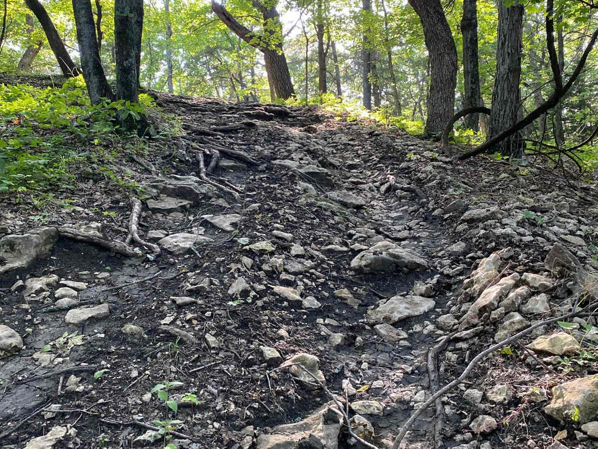Ted's Hill photo 2