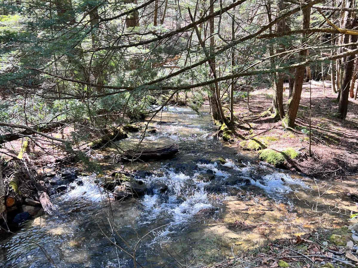 Keating Mountain Road photo 5