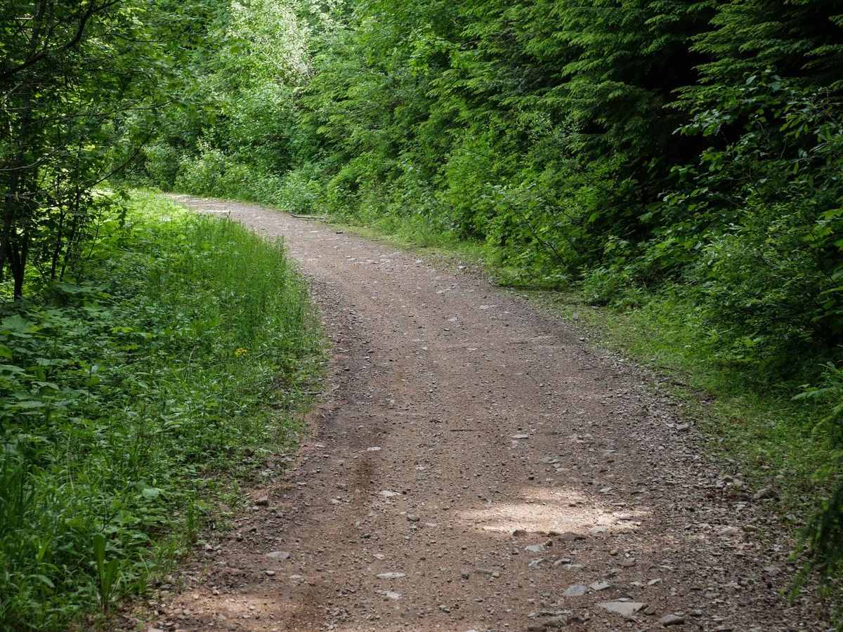 South Canfield OHV trail photo