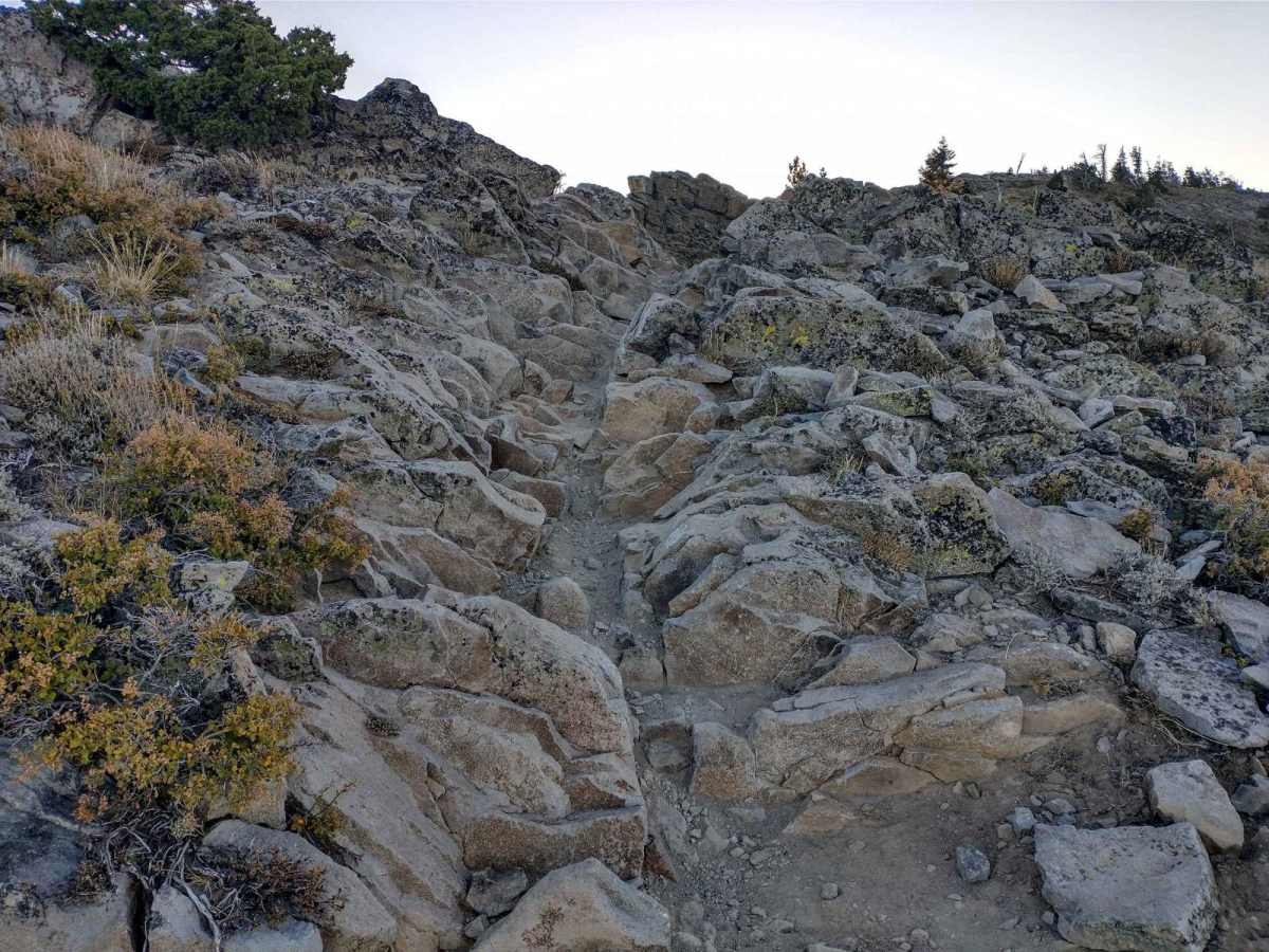 Ellis Peak Bike Trail photo 4