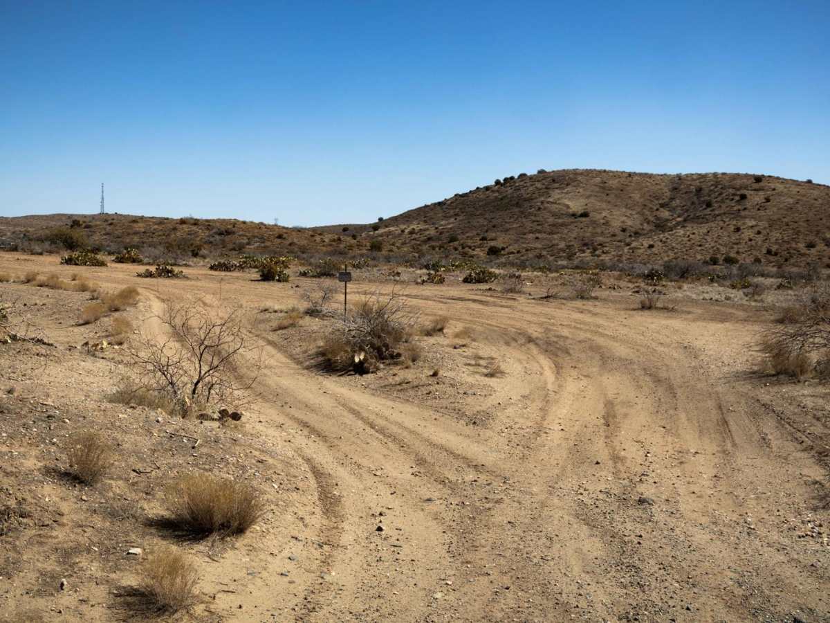 Bc1099 trail photo