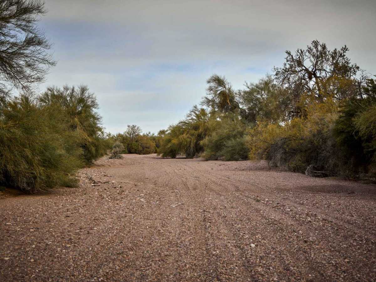 Central Red Raven Wash trail photo