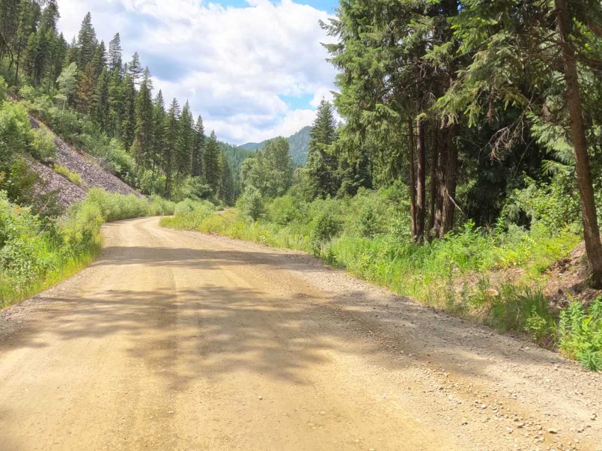 Cedar Creek Road - Oregon Lakes photo 4