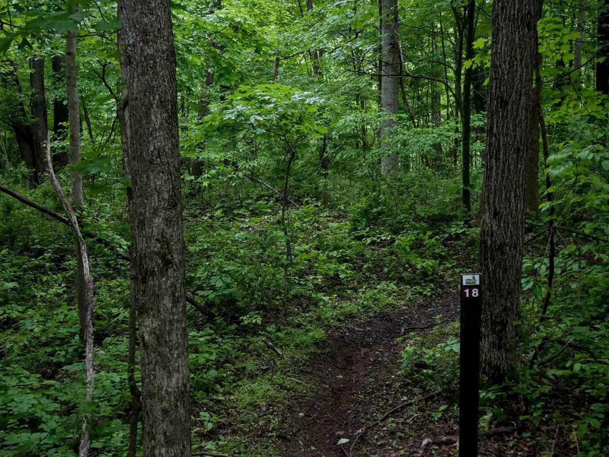 T18 trail photo