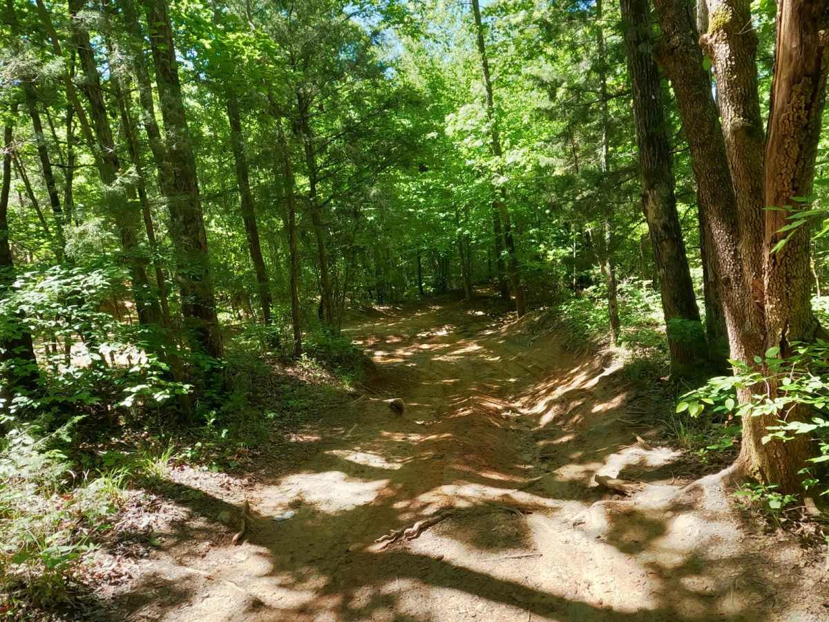 Clemson Trail photo 5