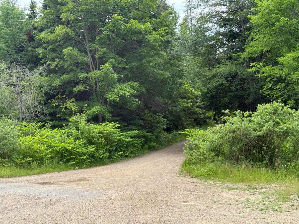 River Denys Mountain Road photo 2