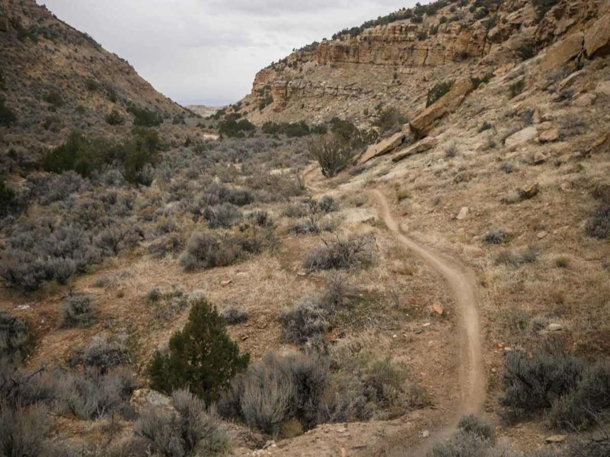 Lane Mine photo 5