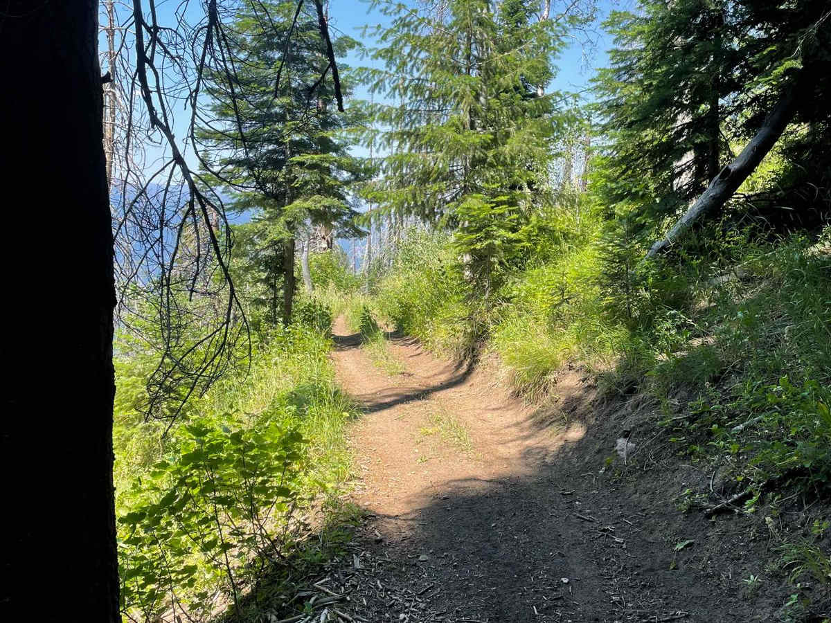 Grass Mountain ATV photo 3