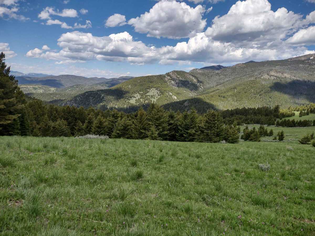 Skyline Mine Spur trail photo