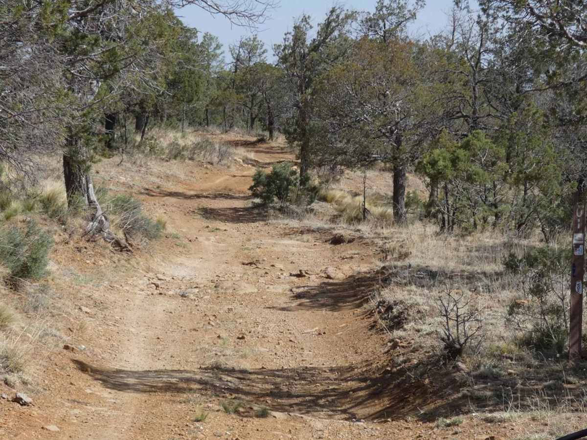 GRT/FS201: Guadalupe Rim Trail trail photo