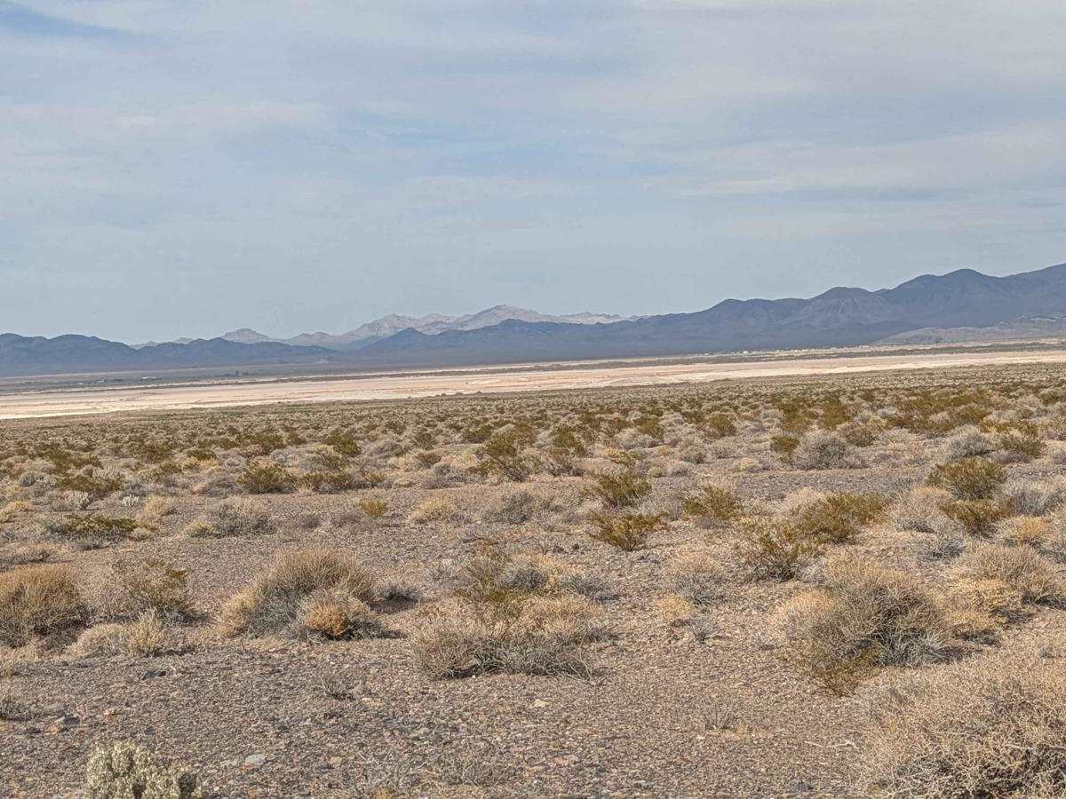 BLM 927827 photo 4
