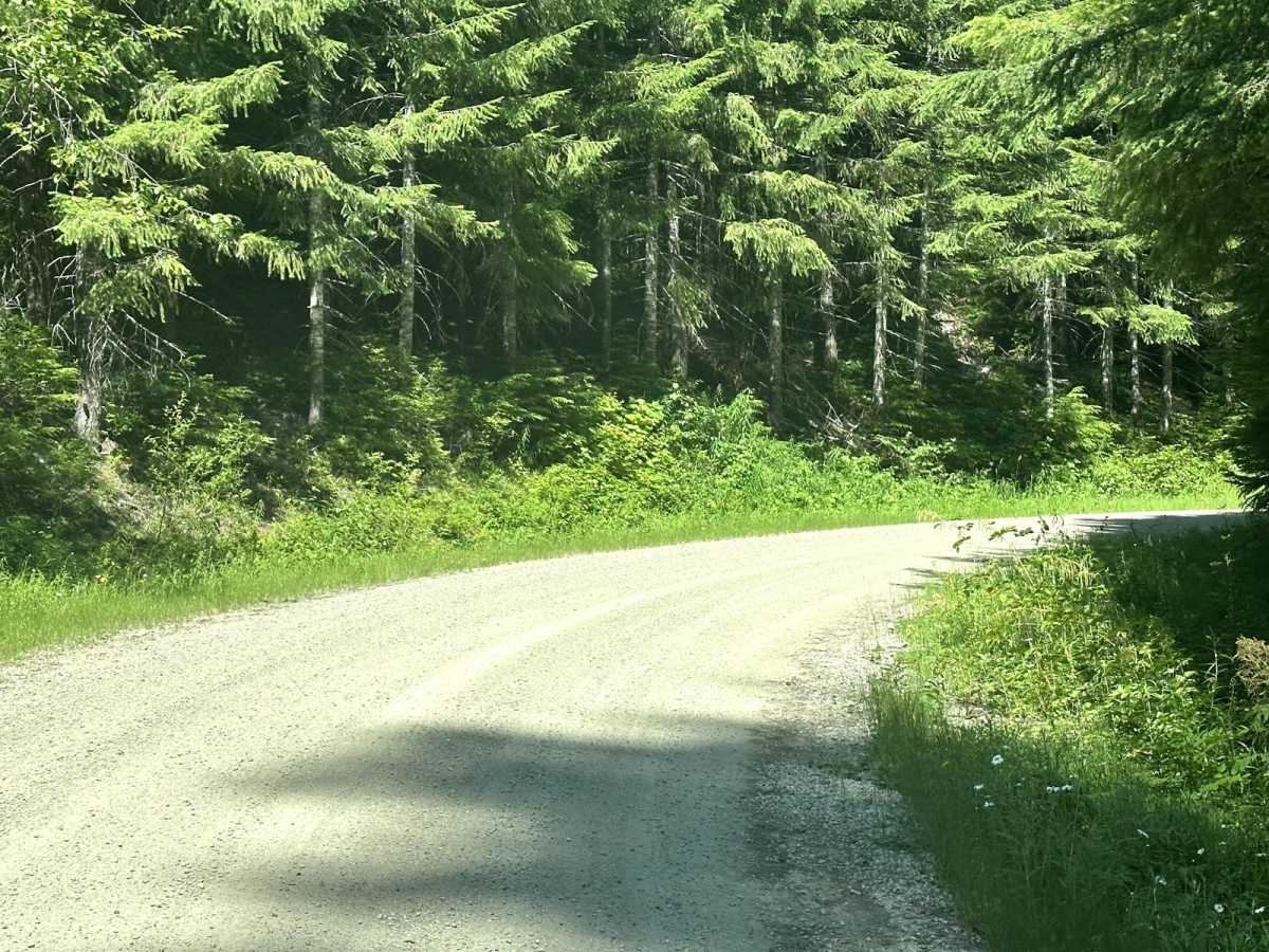 Deer Camp Trail photo 4