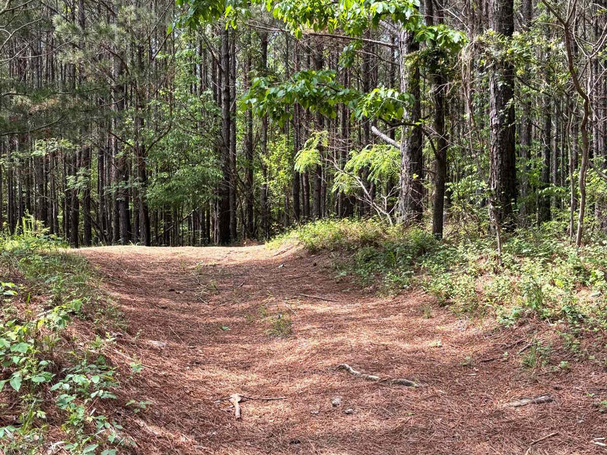 417B trail photo